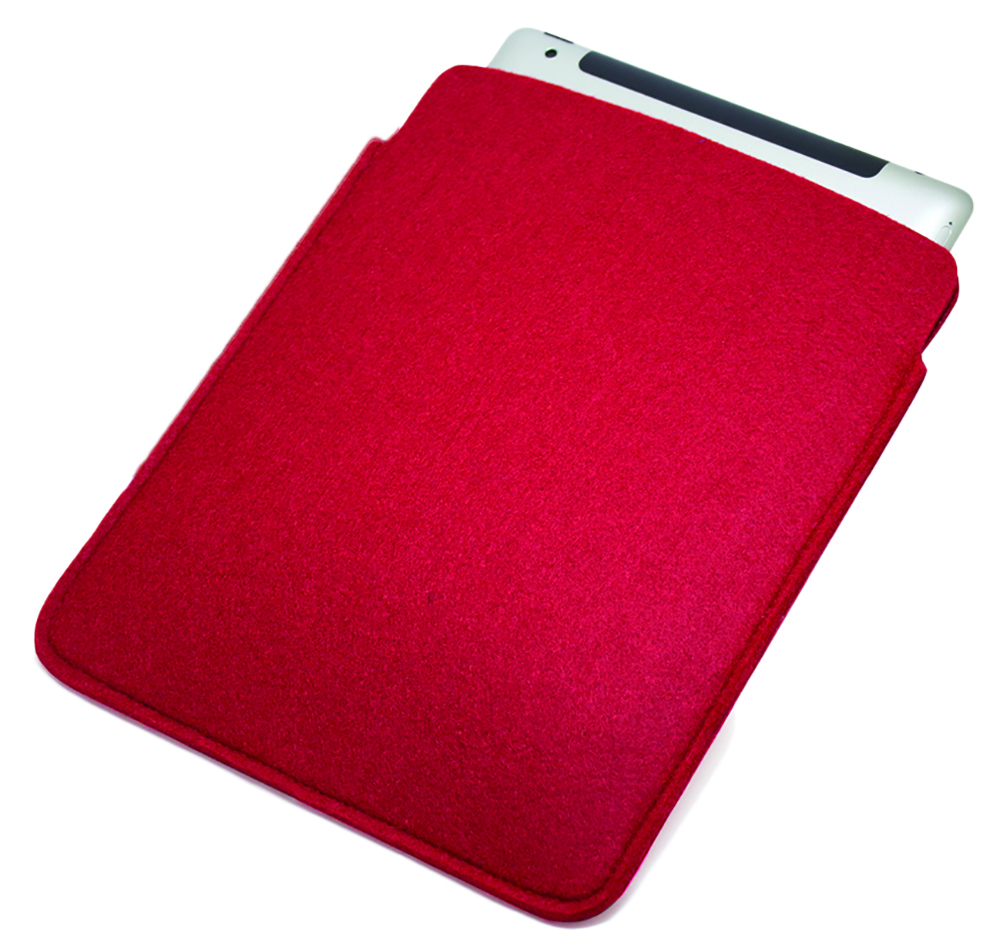 ED-030_200_iPad_Filztasche2